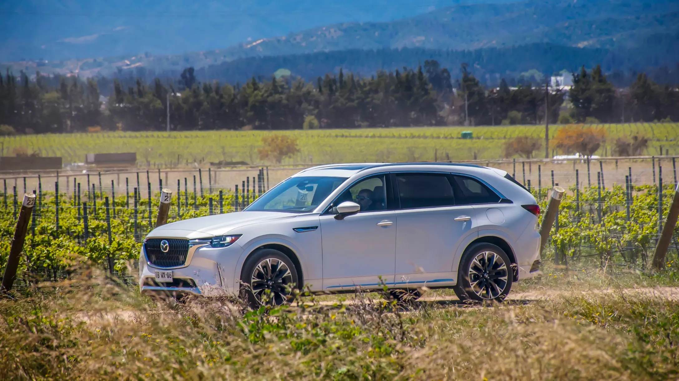Mazda CX-90 blanco en Viña Casas del Bosque