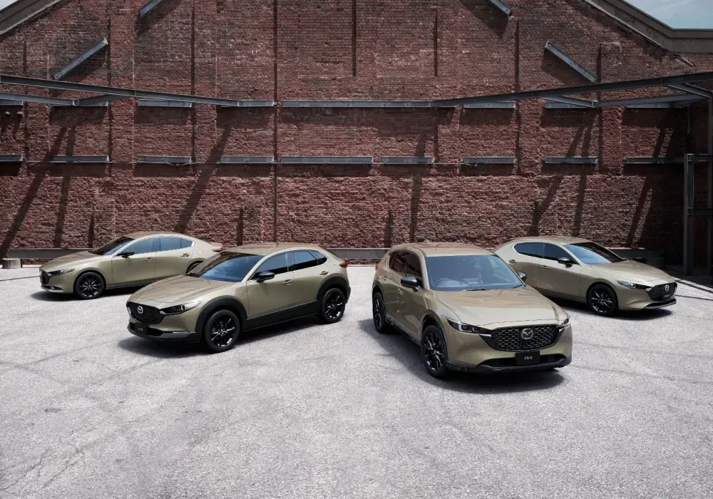 Proceso de grabado de patente en vidrios para cumplir con la ley en Chile