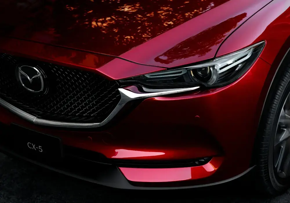 Consultar a quién le pertenece un vehículo por la patente