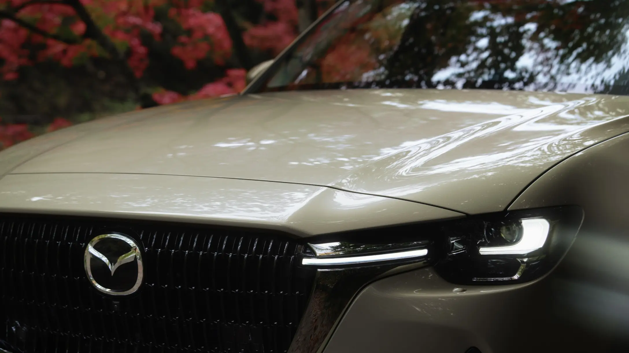 Vista frontal Mazda CX-60 color beige 