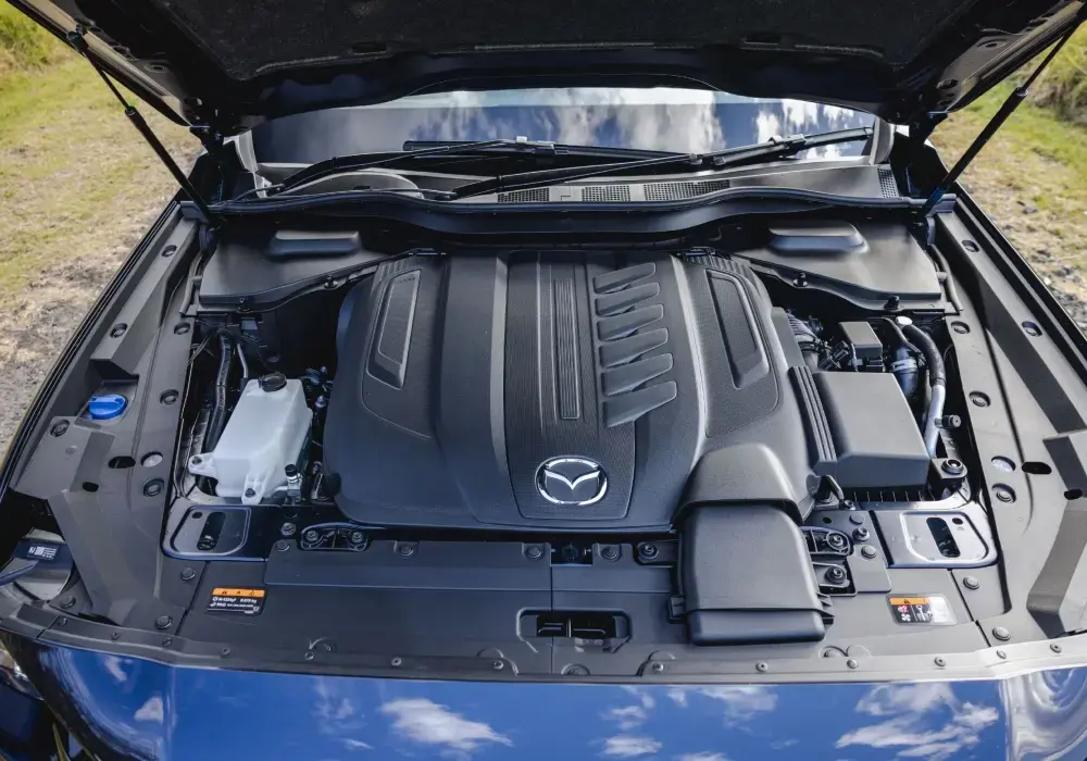 Imagen de una persona lavando el motor de un auto